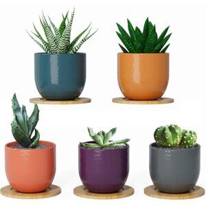 New Small Ceramic Plant Pots Set of 5 for Indoor Succulents with Bamboo Coasters